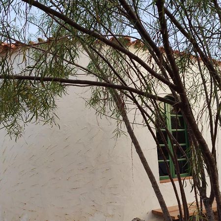 Alojamiento Fuerteventura Tikuna La Oliva Dış mekan fotoğraf